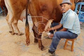 Día grande de las fiestas de Los Llanos 2018 (Foto Antonio Alí/Francisco Javier Santana, Jesús Ruiz y TA)